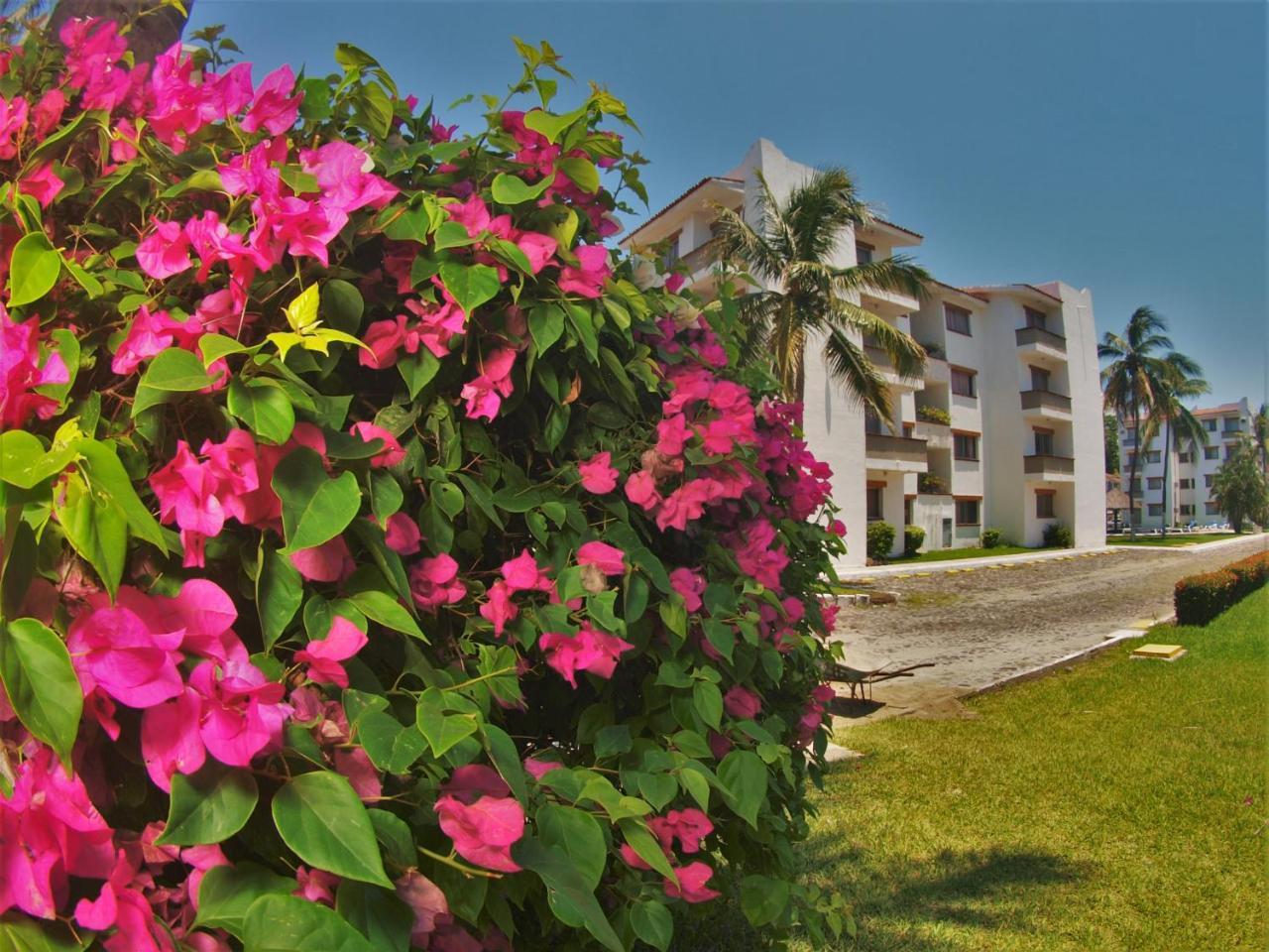 Suites Las Palmas Hotel Y Villas Manzanillo Bagian luar foto